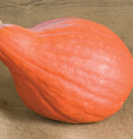 Red October Pumpkin