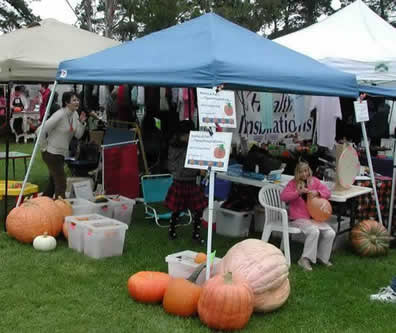 2009 Nipomo OctoberFest Pumpkins