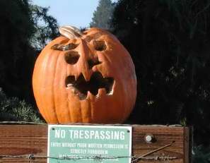 No Tresspass, Nipomo Pumpkin Patch best carving idea