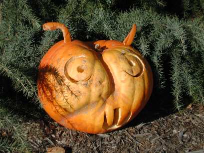 The Fly, Nipomo Pumpkin Patch best carving idea
