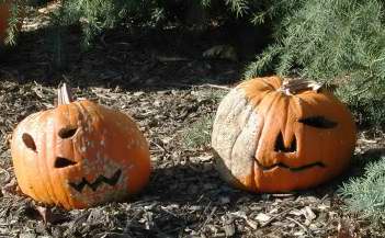 Two Heads, Nipomo Pumpkin Patch best carving idea