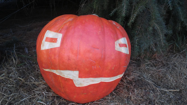 crooked mouth, Nipomo Pumpkin Patch best carving idea