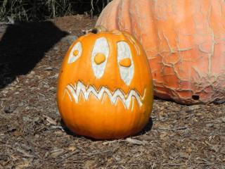 Carving Ideas For 13 Nipomo Pumpkin Patch